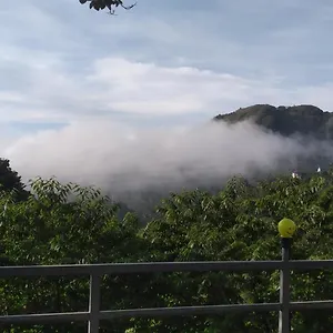 Blue Bird Holidays Munnar Villa